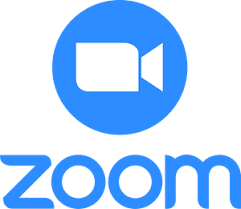 Zoom Logo